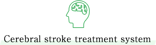 Cerebral stroke treatment system