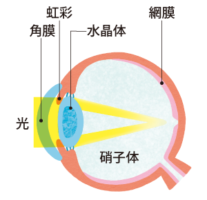 眼球イメージ