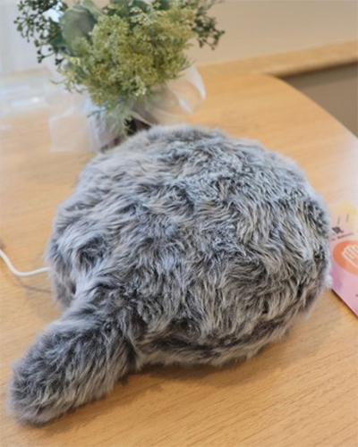 ウェルネスグッズの画像4