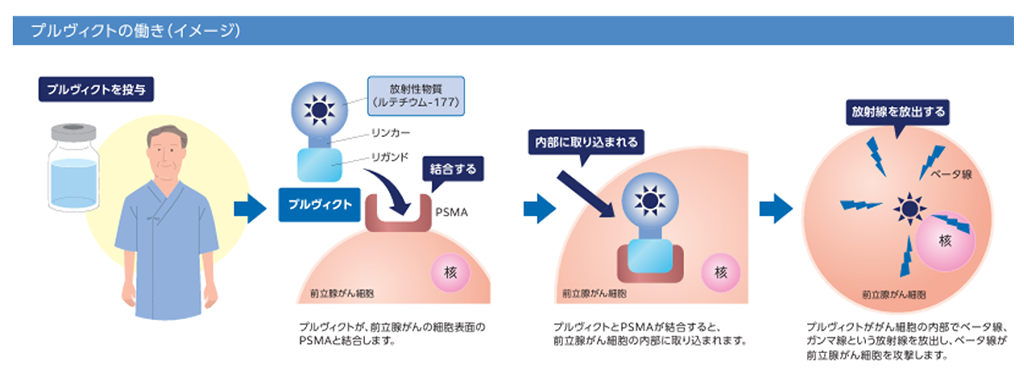 プルヴィクトによる放射性核種療法の仕組みのイメージ
