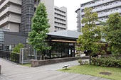 池田山　garden cafe
