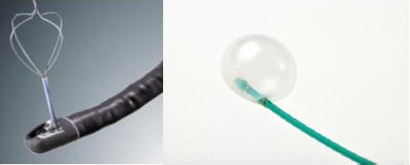 バスケット鉗子やバルーンカテーテルといった器具の写真
