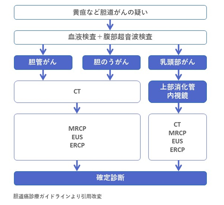 胆道がんの診断・症状