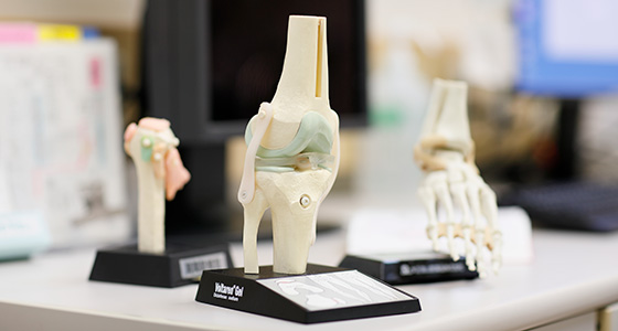 Artificial Joint Center