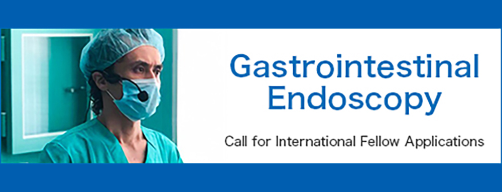 Call for International Fellow Applications