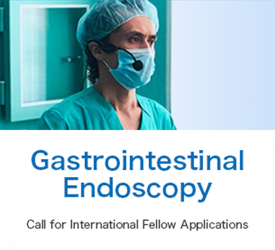 Call for International Fellow Applications