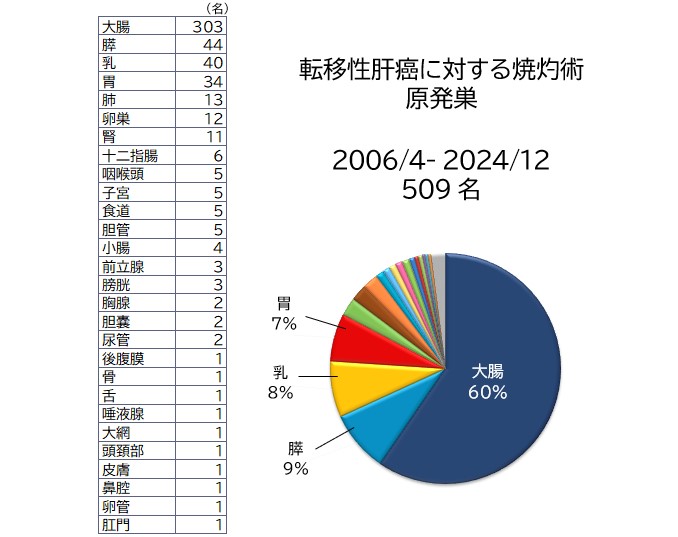 転移性肝癌に対する焼灼術原発巣　2006/4- 2024/12　509 名