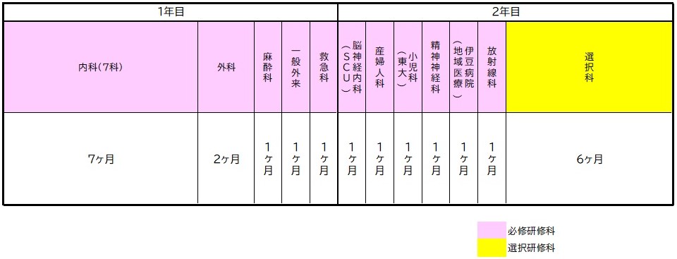 プログラムA（内科系）研修スケジュール例の画像
