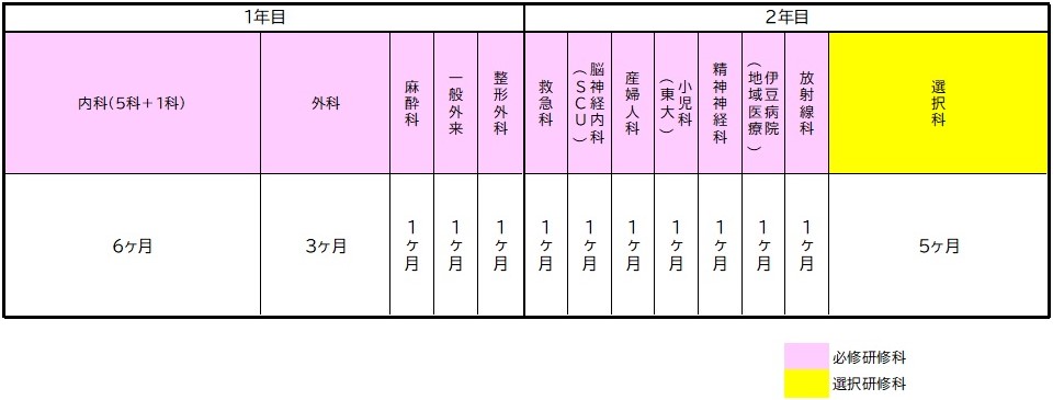 プログラムB（外科系）研修スケジュール例の画像